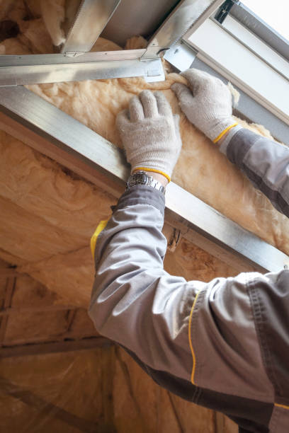 Best Cellulose Insulation in Monroe, NC